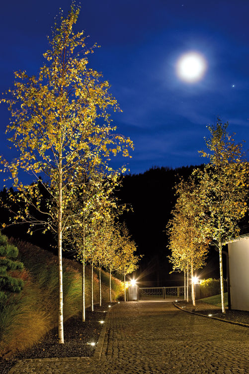 Von Planung bis Installation: Licht sorgt für Sicherheit, Stimmung und Dramatik im nächtlichen Aussenraum. Die Experten der Luce Elektro AG sorgen dafür, dass die Möglichkeiten der modernen Technik optimal eingesetzt werden. Luce Elektro AG.