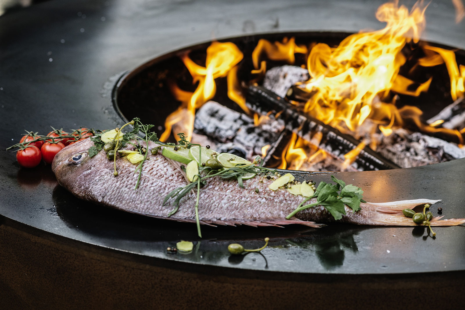 Schonendes und gesundes Grillieren ist auf dem Feuerring nicht nur eine Frage des Geschmacks, sondern auch ein ästhetisches Vergnügen. Feuerring.