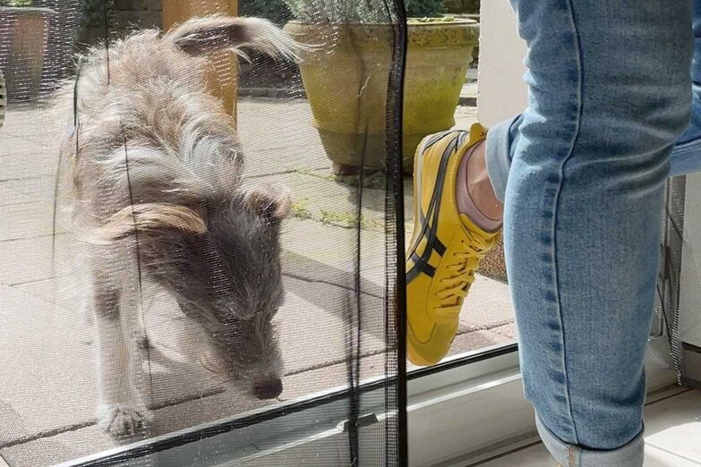 Der Fliegengitter-Magnetvorhand von Schellenberg sorgt mit zwei starken Magnetblöcken und einem durchgängigen Magnetband für zuverlässigen Insektenschutz, während die Fellnasen weiterhin problemlos hindurchkommen. www.schellenberg.de