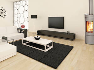 In die Entwicklung der vollständig in der Schweiz hergestellten Cheminéeöfen fliessen laufend die neuesten Erkenntnisse der Feuerungstechnik ein, so dass eine möglichst schadstoffarme Verbrennung garantiert wird. Hans Greub.