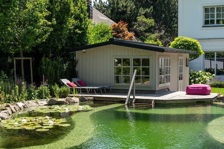 Eine Symbiose aus Pool und Teich bietet Lebensraum für Menschen, Tiere und Pflanzen.