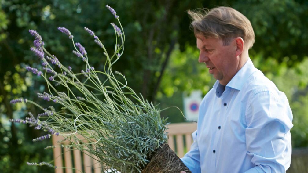 Es geht auch ohne Garten