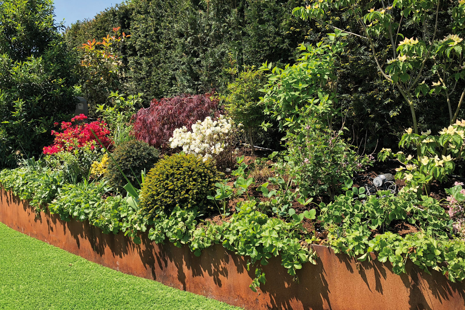 Rasenkanten aus Cortenstahl sind eine dauerhafte, robuste Lösung. Als Mauerersatz eignet sich Cortenstahl ebenfalls bestens. Wetterfester Baustahl in der Edelrostvariante ist in letzter Zeit zunehmend gefragt. Das Material eignet sich auch für Pflanzgefässe, Holzlager, Wasserbecken oder Sichtschutzwände nach Mass. Mein Topf GmbH.
