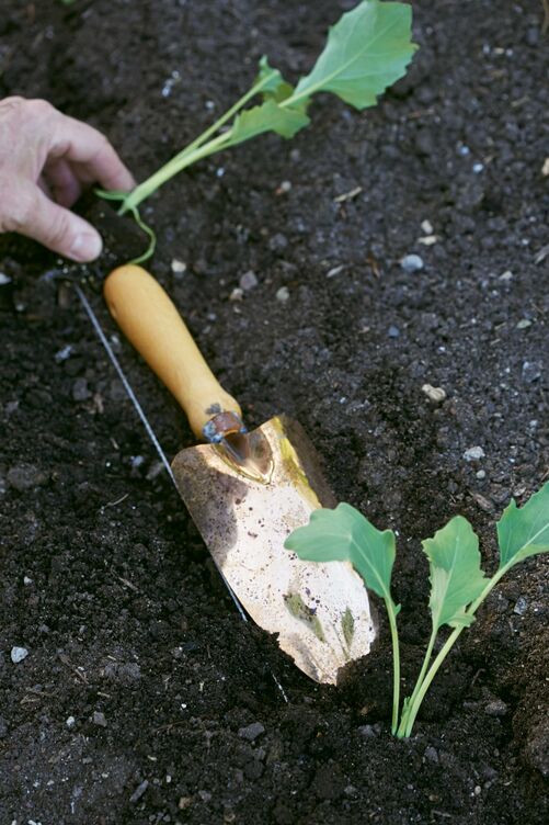 Der richtige Abstand ist wichtig.