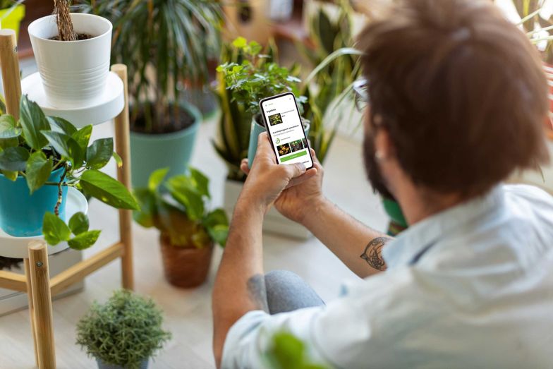 Neophyten-Checker-App von Houzy