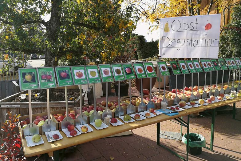 Pflanzen von Gartenpflanzen Daepp