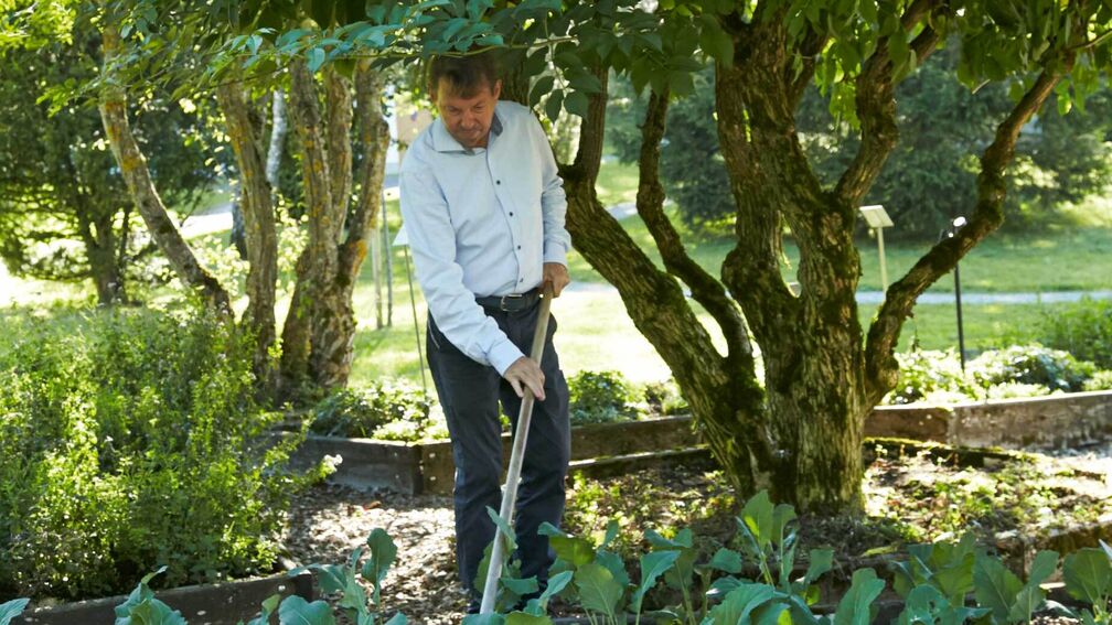 Gärtnern: ein guter Anfang