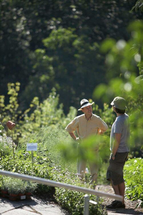 Der Rat eines Fachmanns ist sehr hilfreich in der Startphase.