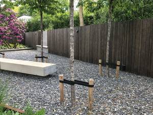 Das Wandparkett «Moso Bamboo X-treme» trocknet schnell, ist daher wartungsarm und zudem umweltfreund-lich. Bambus wächst so schnell, dass sich das Material während der 25-jährigen Garantiezeit fünfmal selbst recycelt. Green Style Holland GmbH.