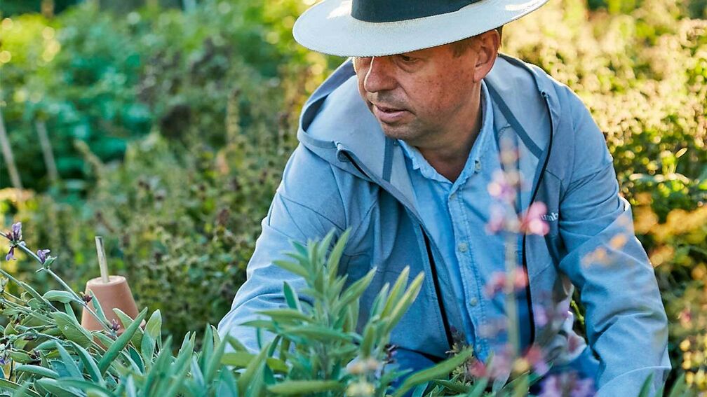 Was ist jetzt im Garten zu tun?