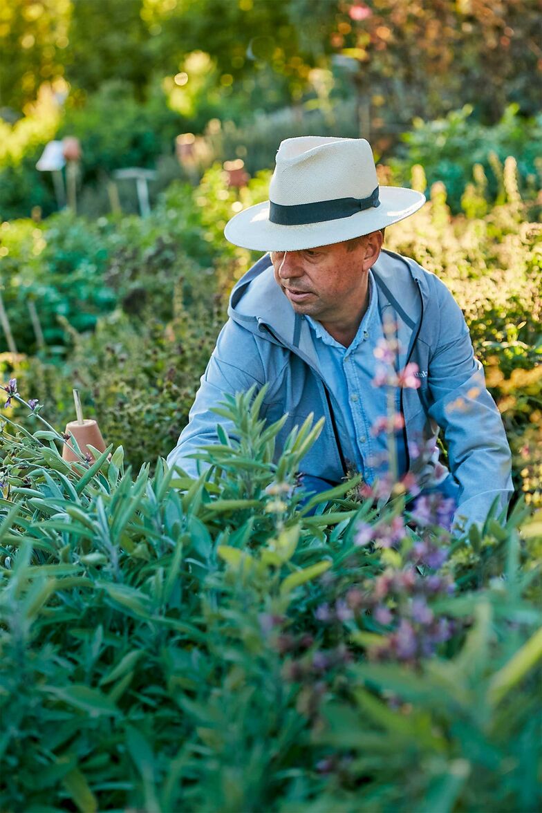 Remo Vetter beantwortet Fragen zur Gartengestaltung, ­Pflanzenwahl, Pflege und Anbau.