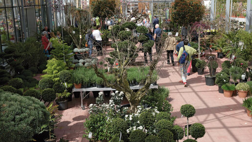 Ein inspirierender Ort: Erlebnis-Baumschule