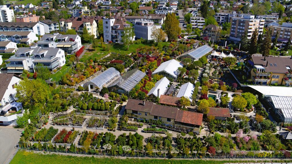 Gartencenter feiert 120-jähriges Jubiläum