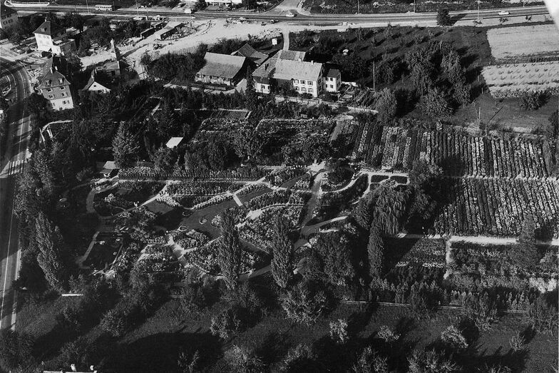 Das Unternehmen befand sich fast allein auf grüner Wiese. Die Limmattaler Strassenbahn «Lisebethli» fuhr seit 1901 die Strecke Schlieren – Weiningen und führte mitten durch das Areal.