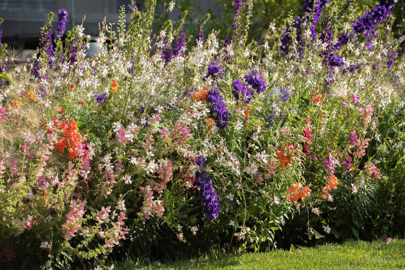 Blühende Vielfalt mit saisonaler Bepflanzung: Eine saisonale Bepflanzung bringt Vielfalt und Lebendigkeit in den Garten. Das abwechslungsreiche Bepflanzungskonzept «Wechselflor» ermöglicht es, Blumen und Blattschmuckpflanzen je nach Jahreszeit auszutauschen – von Tulpen und Hornveilchen im Frühling bis zu Chrysanthemen und Ziergräsern im Herbst. Die Auswahl ist vielfältig und lässt Platz für eine kreative Gestaltung. Die Kombination verschiedener Blütenpflanzen fördert zudem die Biodiversität und bietet Nahrung für Insekten. JardinSuisse, www.jardinsuisse.ch