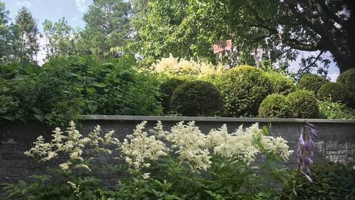 Partner für den Garten