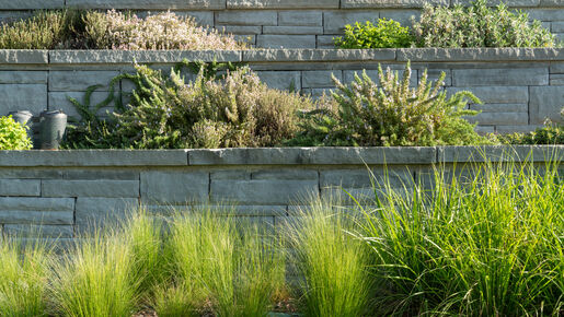 Gartengestaltung nach Wunsch