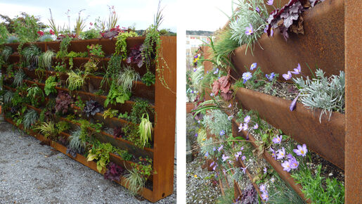 Bepflanzbare Sichtschutzwand