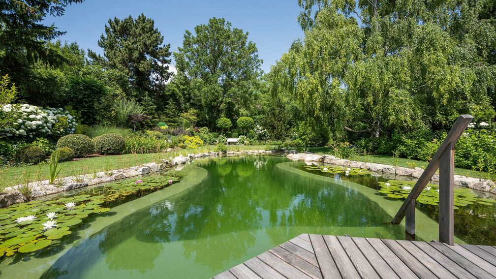 Der Sprung ins kühle Nass