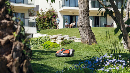 Gärtners Goldstück