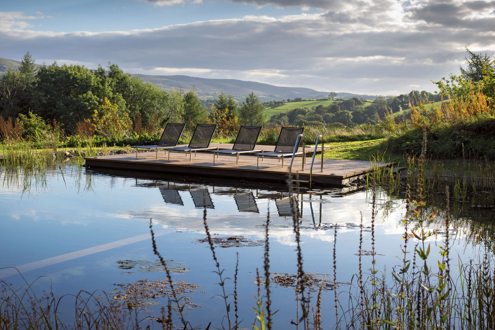 Idylle pur: Beim «Biotop Design Froschkönig Wettbewerb 2016» gewann diese Anlage den ersten Preis in der Kategorie «Swimming Teich». 