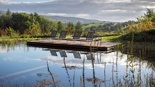 Schwimmen: Im Teich unterm Sternenhimmel
