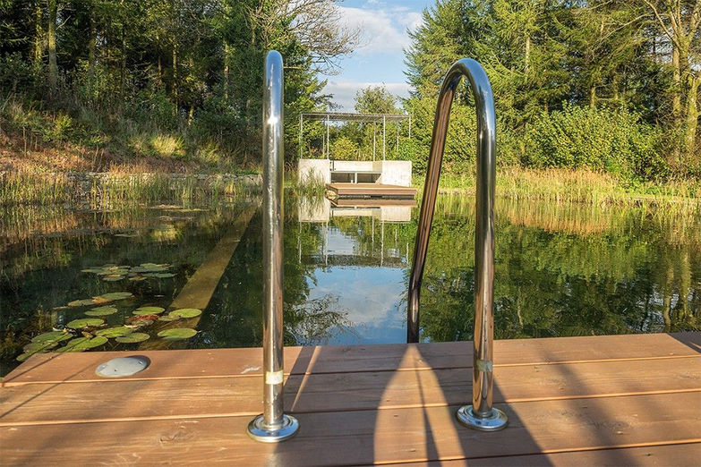 Idylle pur: Beim «Biotop Design Froschkönig Wettbewerb 2016» gewann diese Anlage den ersten Preis in der Kategorie «Swimming Teich».