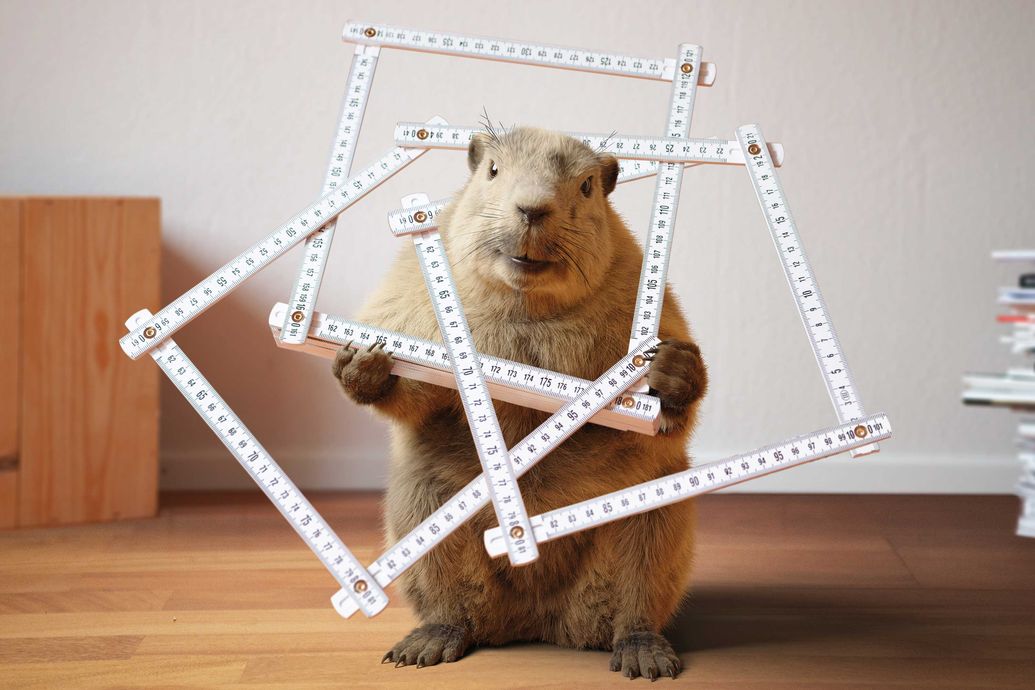 Ein gutes Maskotchen für die Impulsberatung: Während des Winterschlafs sinkt beim Murmeltier der Energieverbrauch auf weniger als zehn Prozent. Die Impulsberatung «erneuerbar heizen» unterstützt Hausbesitzer beim Heizungsersatz.