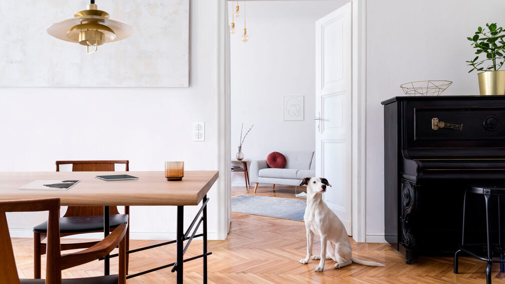 Stimmungsmacher: Dimmer