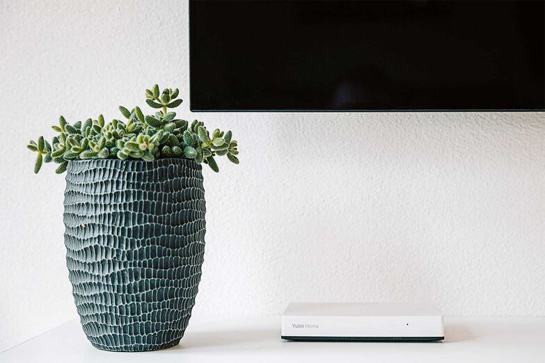 Alle Daten der Smarthome-Zentrale Yubii Home, die in der Cloud gespeichert werden, können nur entschlüsselt werden, wenn ­Identifikationsnamen und Passwort zusammenpassen. www.meimo.ch